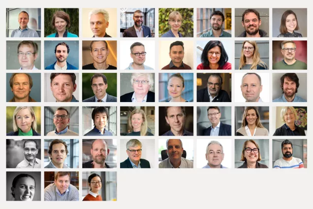 Collage of portraits of the Research Group Leaders at Lund Stem Cell Center